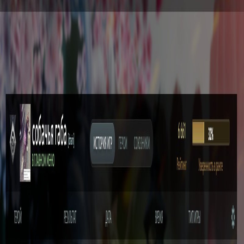 🏅 MMR 6600 | 🕒 3400 годин | 🛡 11000