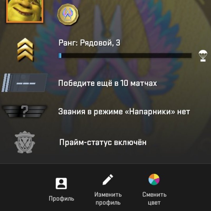 🏅 CS2 Prime | 🎯 Faceit LVL 3 | 🕒 9 hours — Ready for Competitive Play