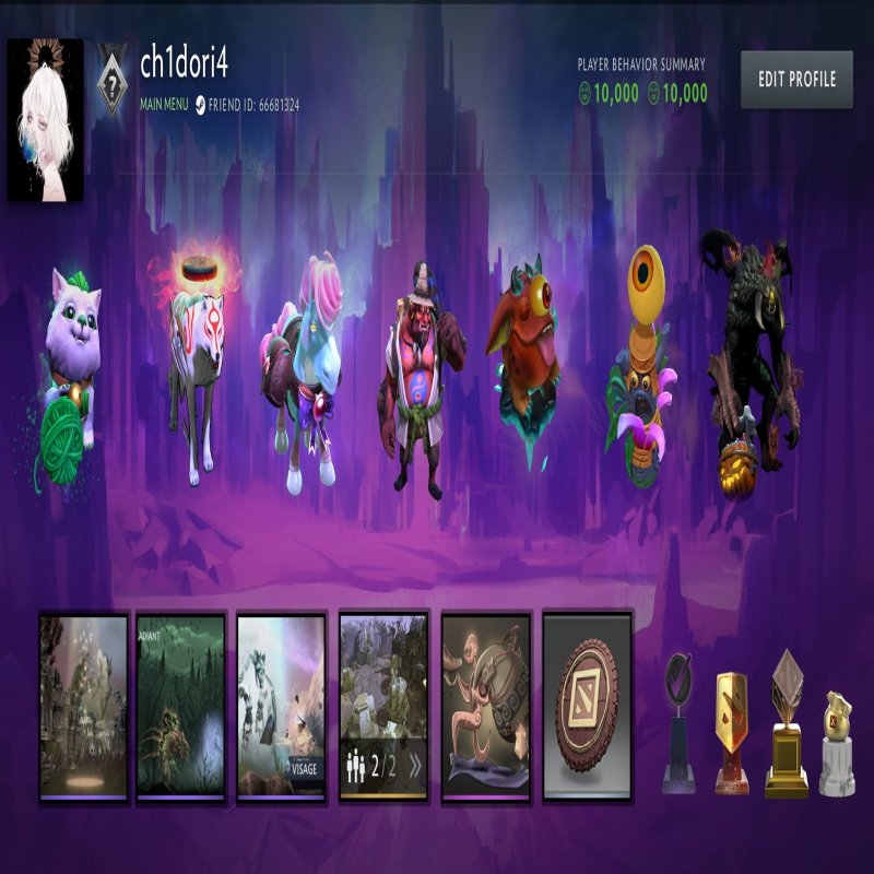 🏅 MMR 2900 | 🕒 3953 hours | 🛡 10000