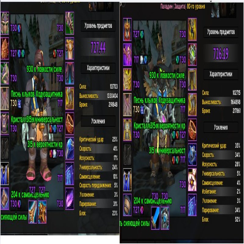 🎮 WoW account | Level 80 | Alliance | Gordunni