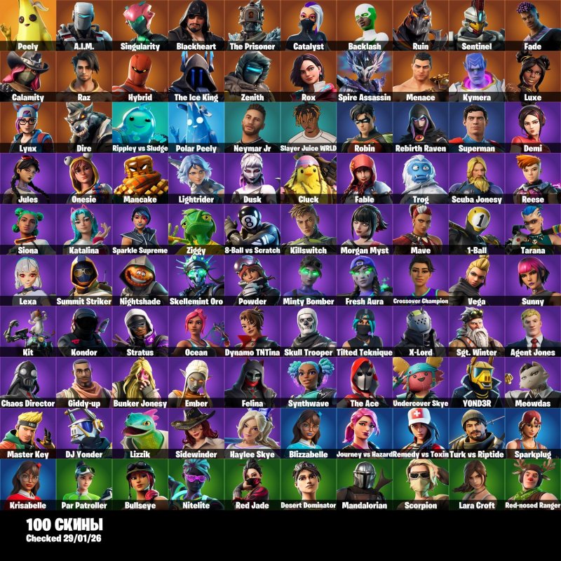 🎨 100 skins | 🌟 Fortnite account