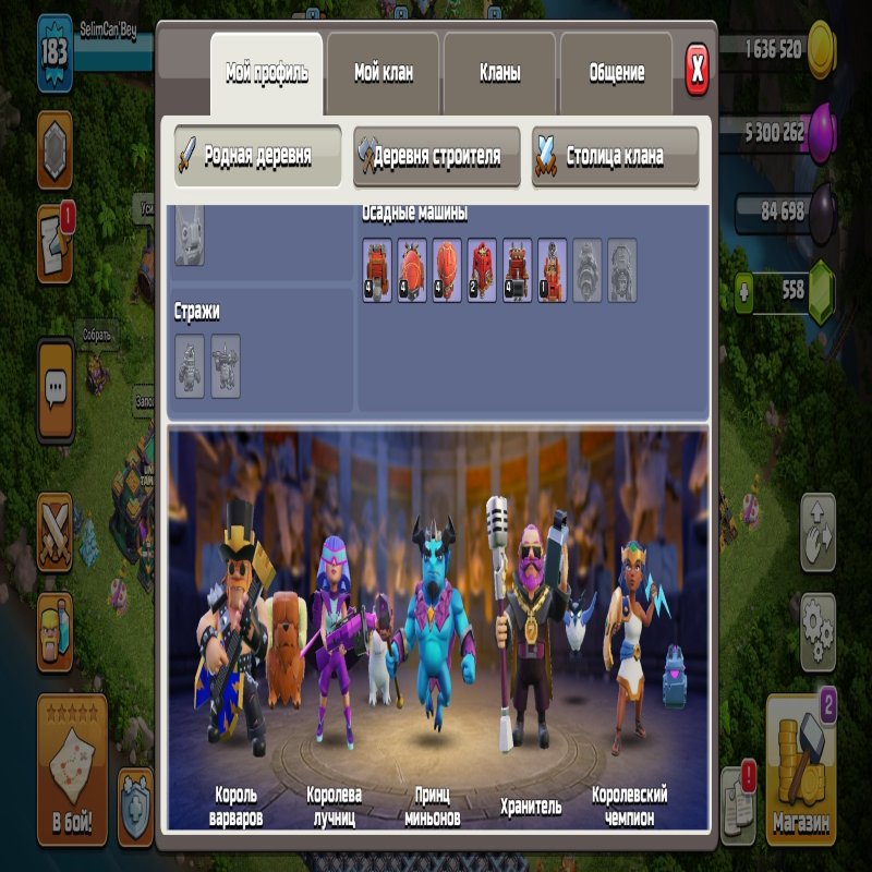 🏰 Clash of Clans account | Town Hall 14 | Level 183