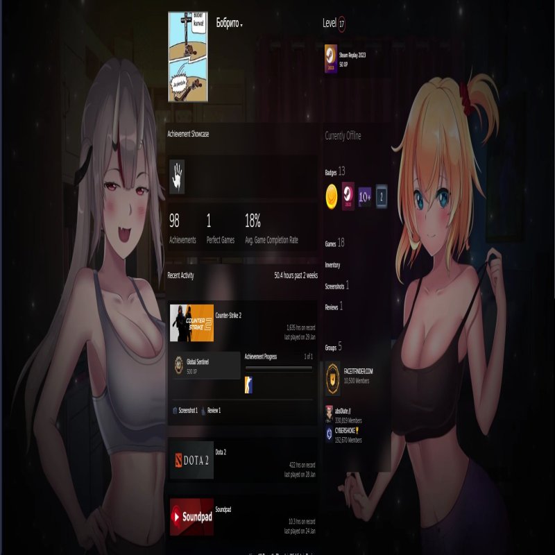 🏆 FACEIT 10 LVL | 🎯 2413 ELO | 🕒 881 matches — Ready for competitive play!