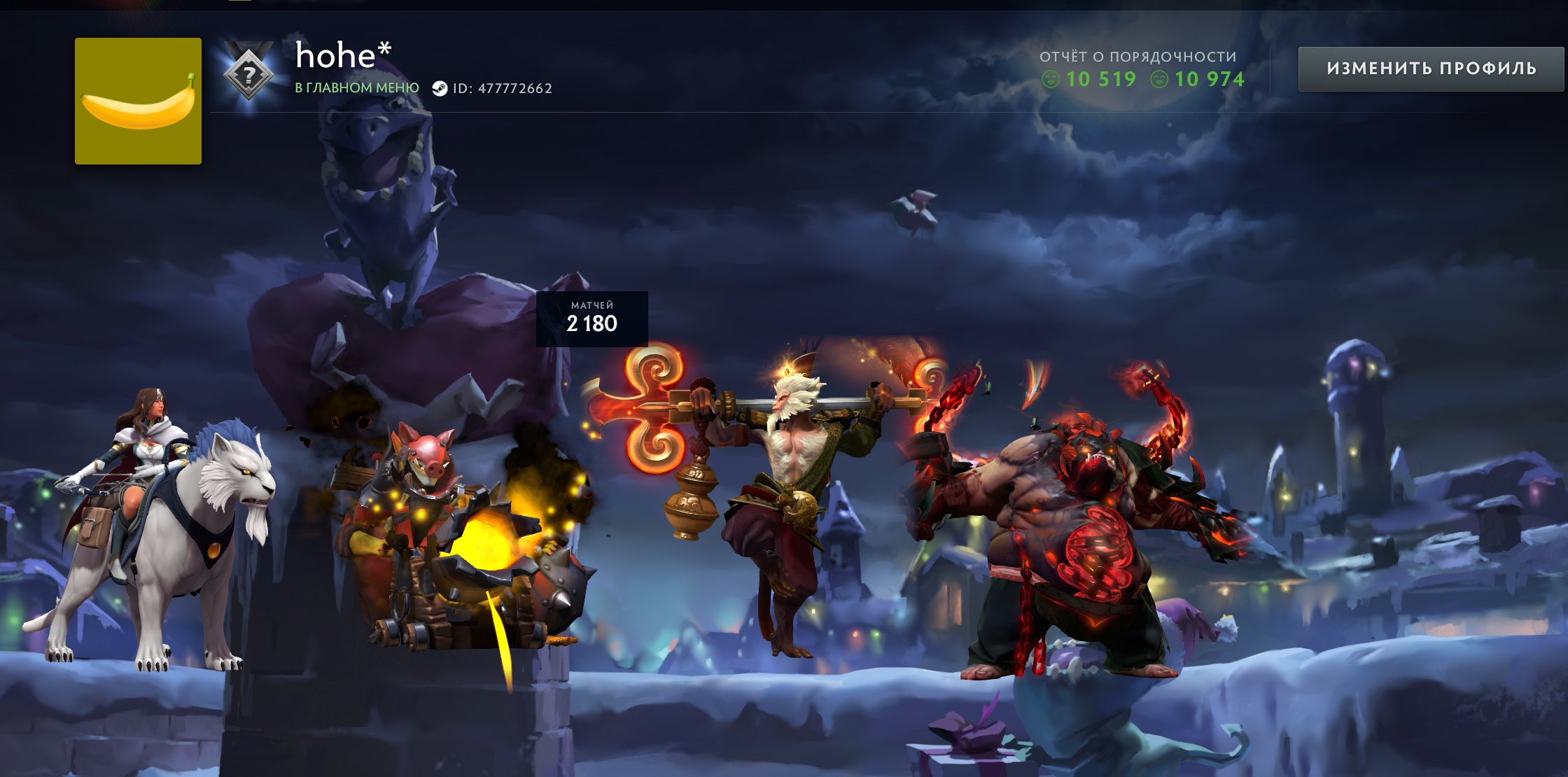 🏅 MMR 5000 | 🕒 2119 часов | 🛡 10974