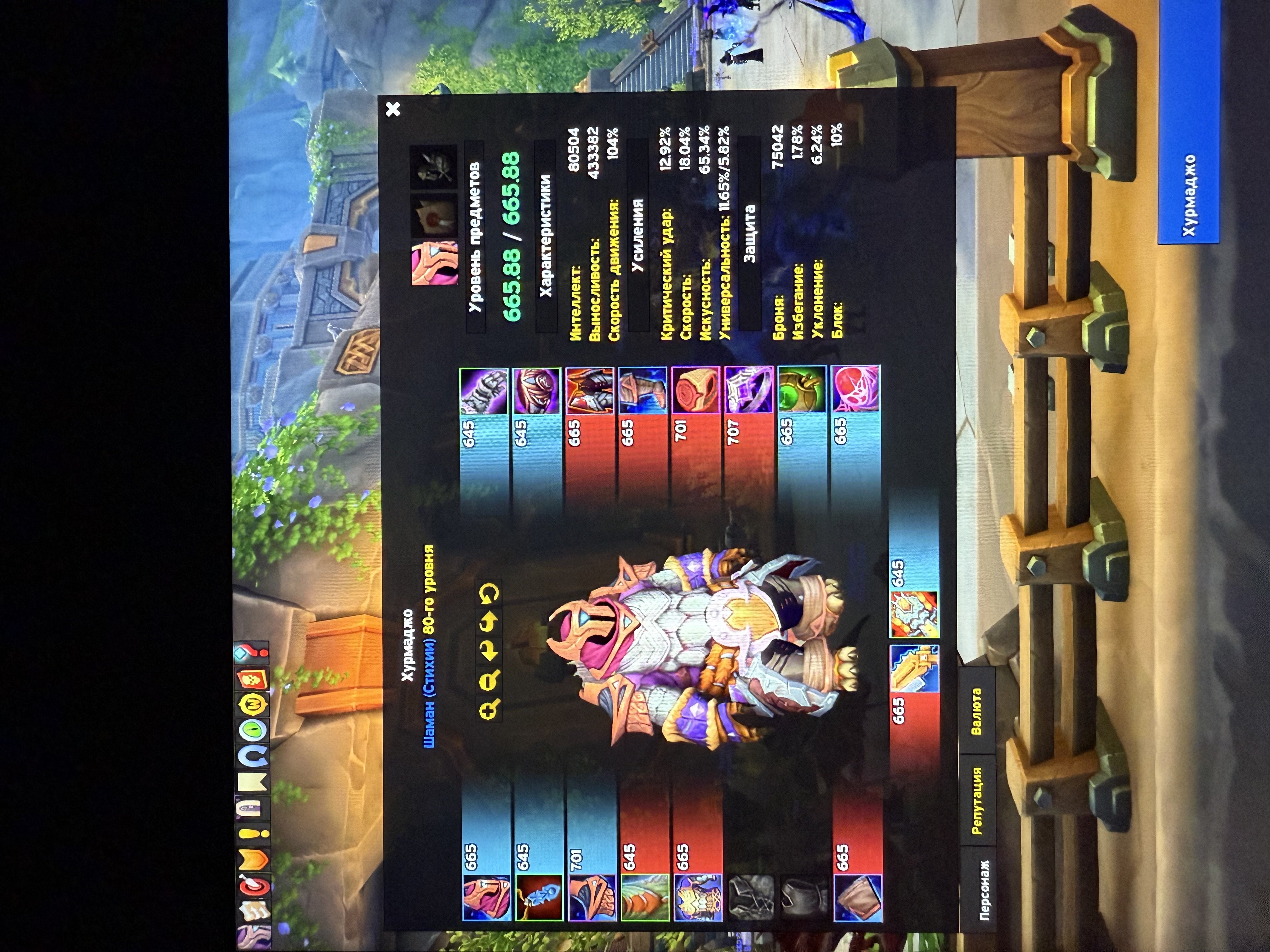 🎮 WoW account | Level 80 | Horde | Howling Fjord