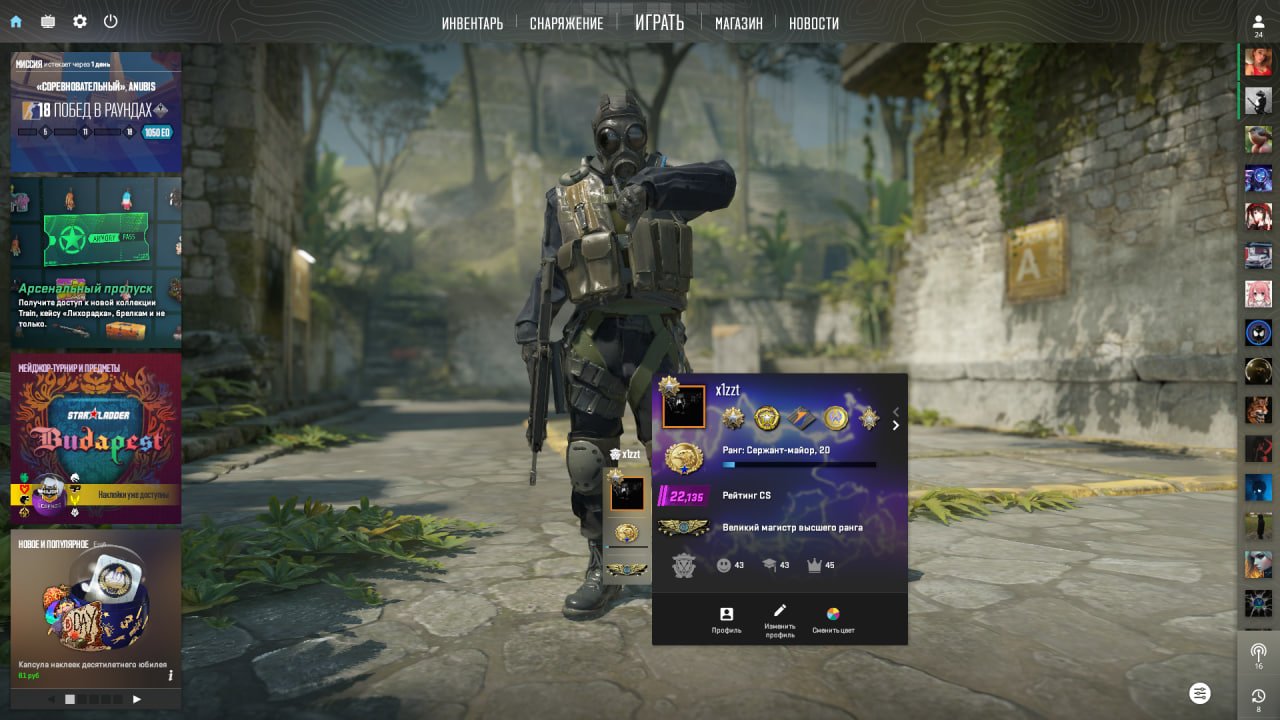 💎 PRIME STATUS | 🎯 FACEIT LVL 10 | 🕒 1249 matches — Ready for Competitions!