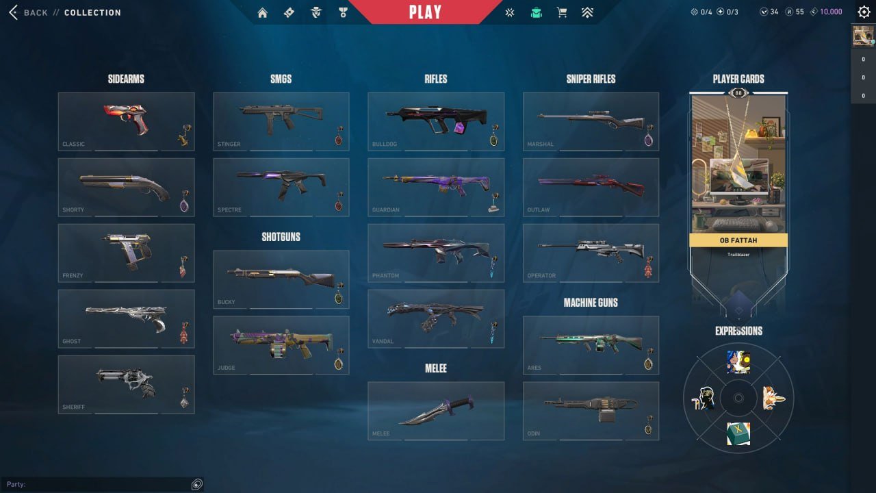 🎯 Valorant account | Gold 1 | EU | 21 agents