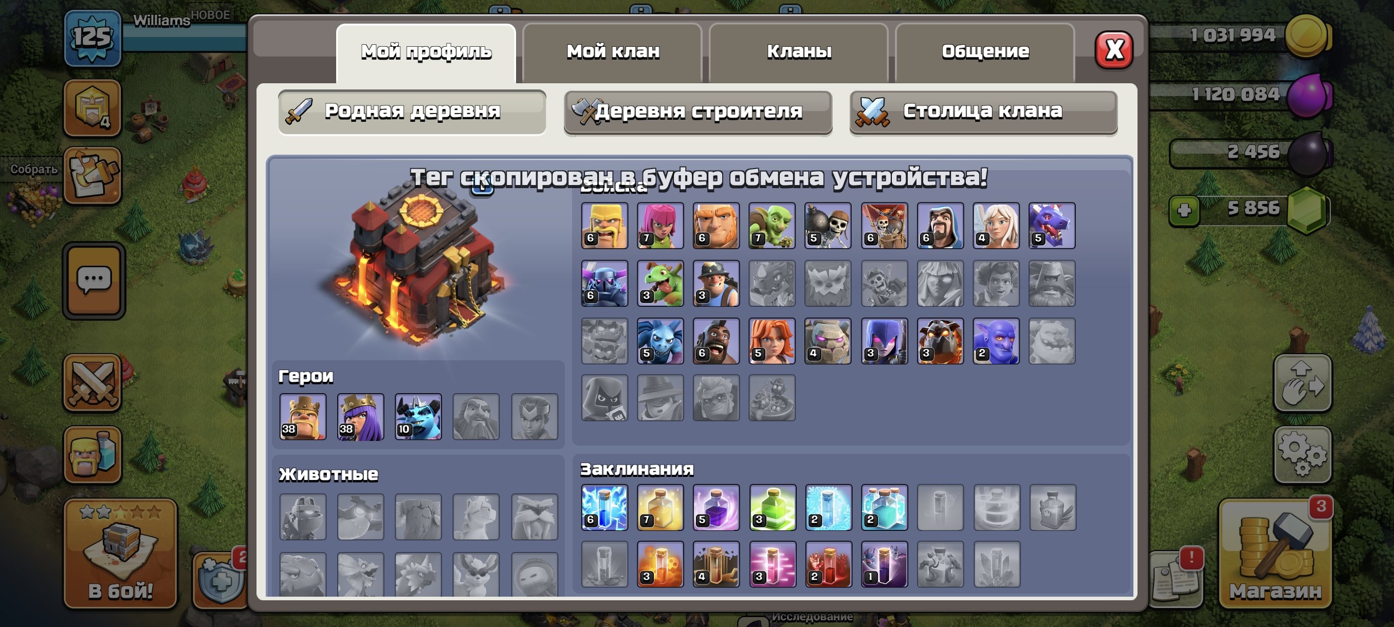 🏰 Clash of Clans акаунт | 10 ратуша | 125 рівень