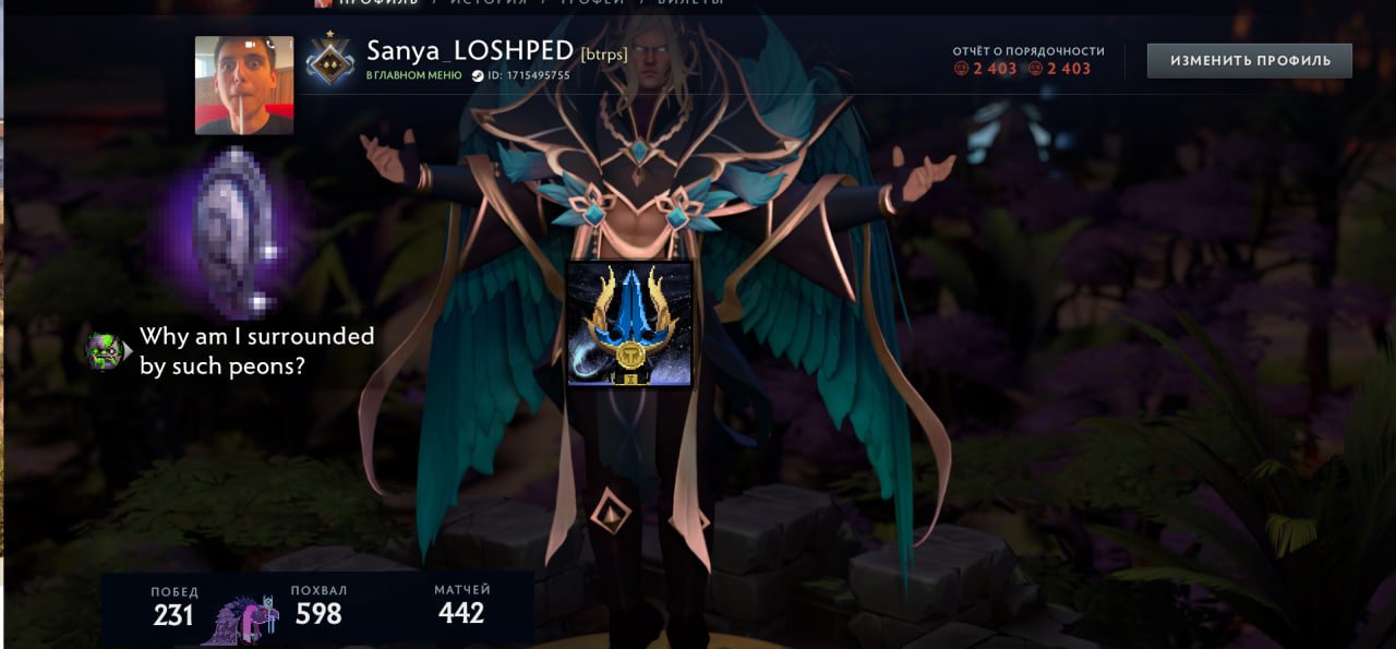 🏅 MMR 743 | 🕒 542 hours | 🛡 2403