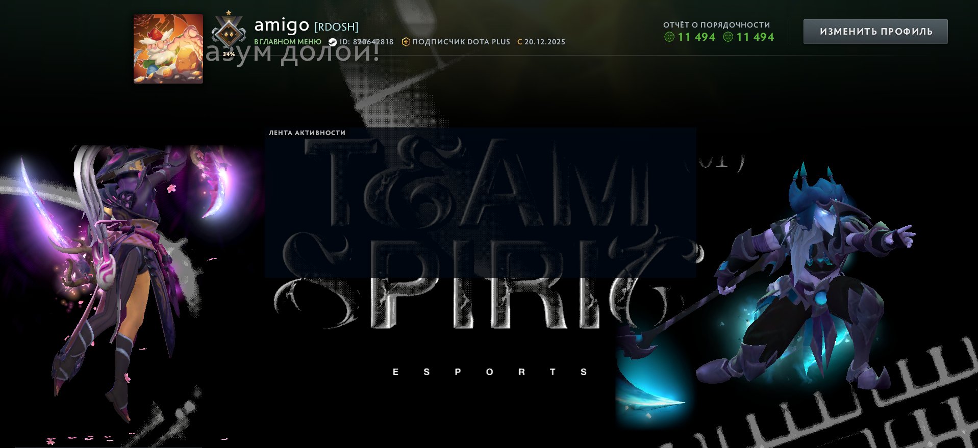 🏅 MMR 823 | 🕒 265 hours | 🛡 11494