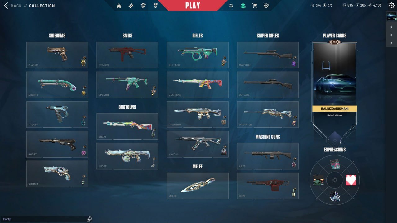 🎯 Valorant account | Platinum 1 | EU | 23 agents