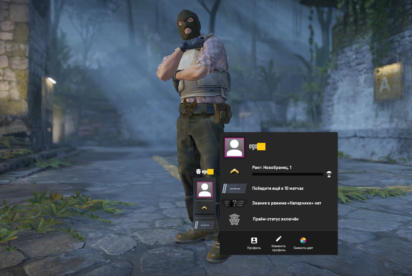 🔥 Faceit LVL 5 | 🎯 1177 ELO | 🕒 2 hours — Ready for Competitive Matches