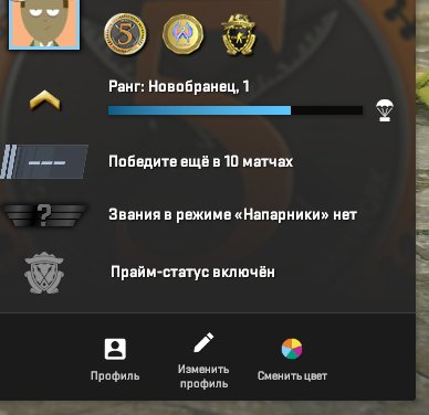 🌟 CS2 Prime Rank 1 | 🎯 Faceit Not Registered | 🕒 3 hours — Ready to Play!