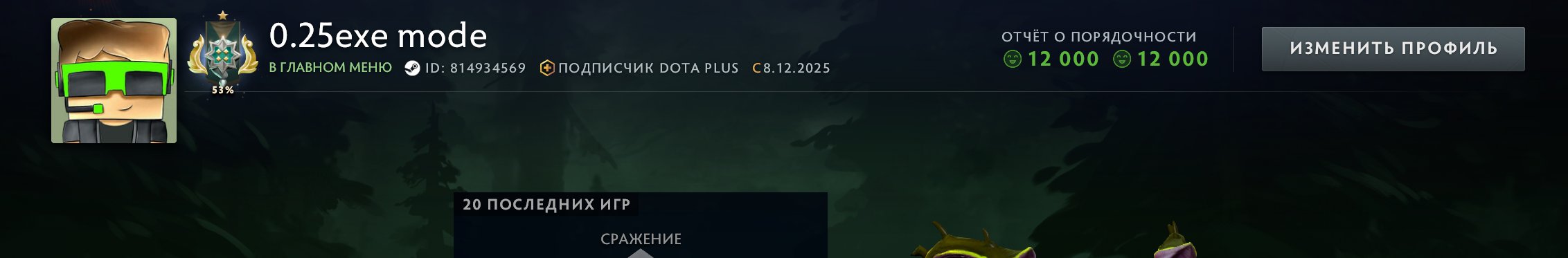 🏅 MMR 2400 | 🕒 206 hours | 🛡 12000