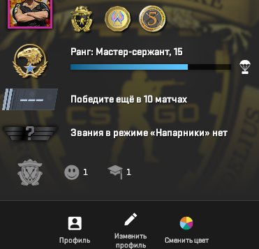 🏆 PRIME | 🔥 Rank 15 | 🎯 Faceit | 🕒 134 hours — Competitive Ready