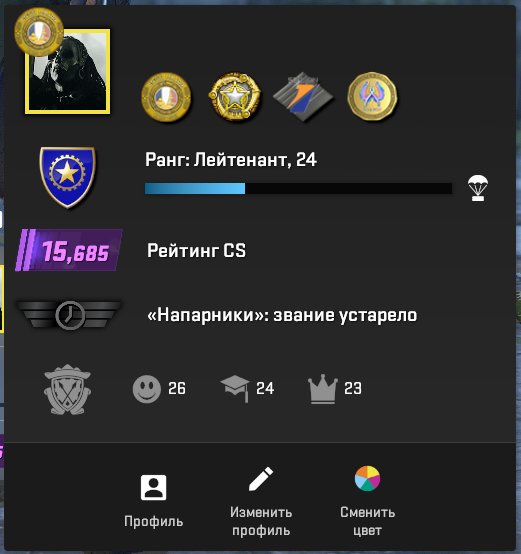 🏆 CS PRIME | 🎯 FACEIT 1700 ELO | 🕒 800 hours — Ready for competitive matches!