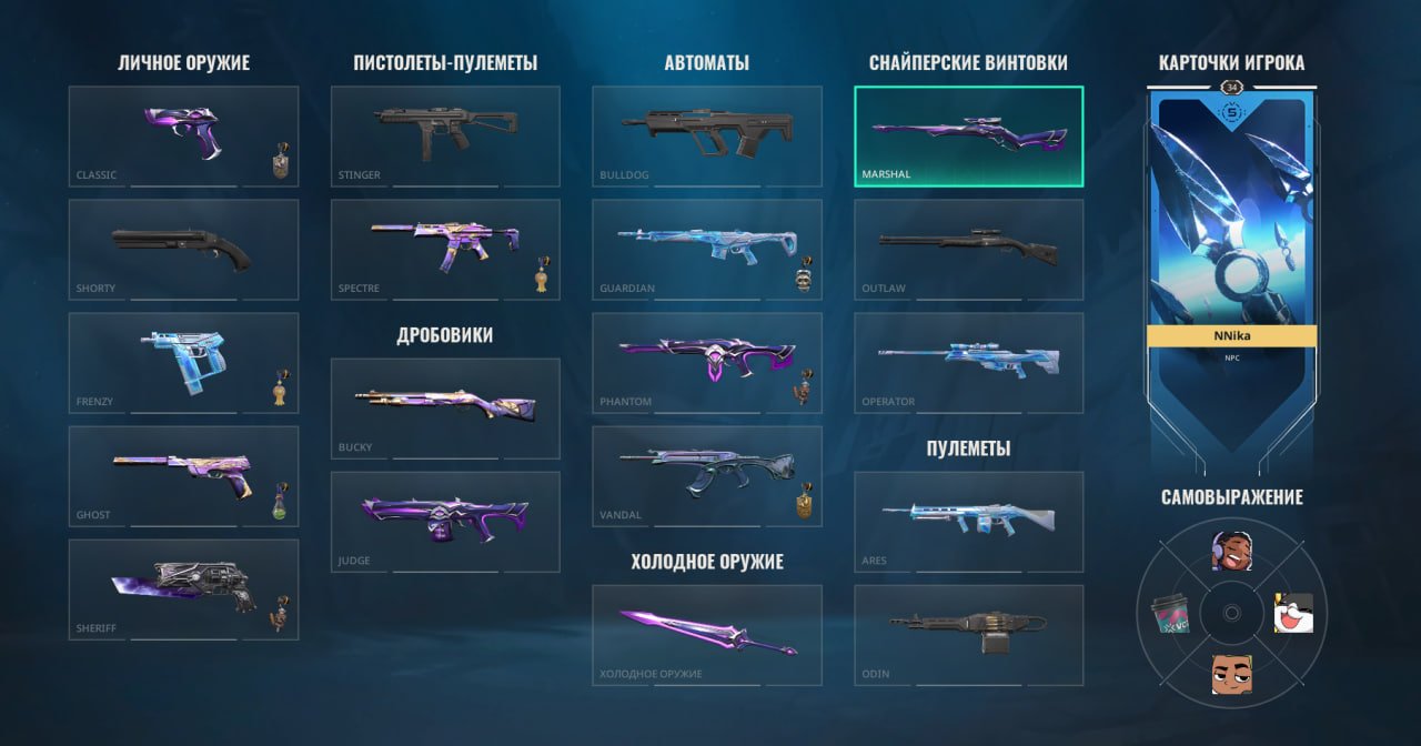 🎯 Valorant account | Bronze 2 | RU | 12 agents