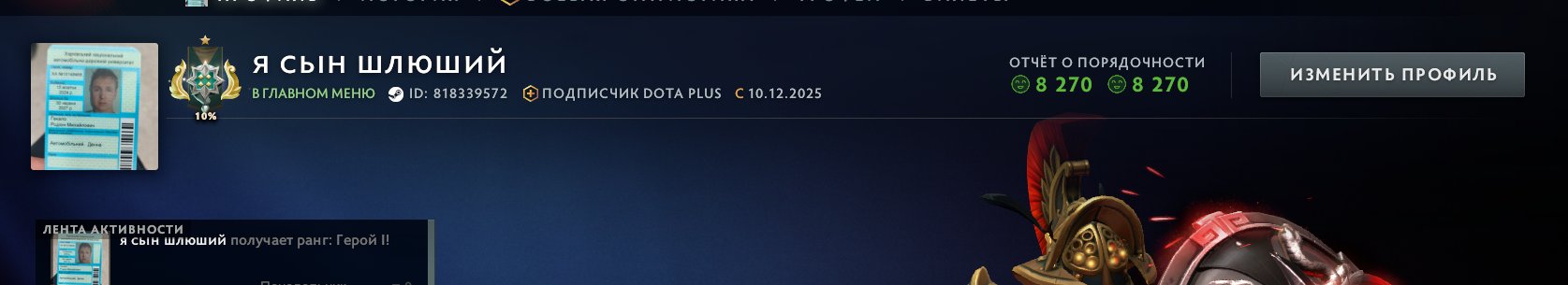 🏅 MMR 2326 | 🕒 300 часов | 🛡 8200