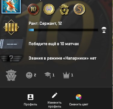 🔥 CS2 PRIME | 🌟 Rank 12 | 🕒 253 hours | Ready for Competitions