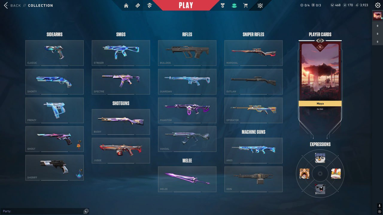 🎯 Valorant account | Platinum 1 | EU | 16 agents