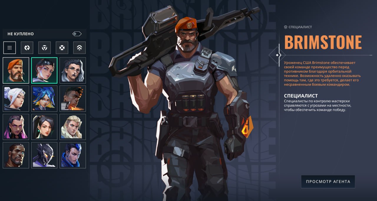 🎯 Valorant account | Bronze 2 | RU | 12 agents