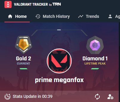 🎯 Valorant account | Gold 2 | EU | 28 agents