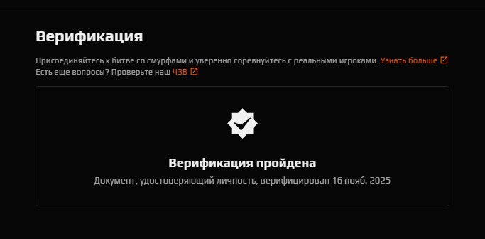 🏆 FACEIT Level 4 | 🎯 Ready for Ranked Matches | 🕒 200 hours