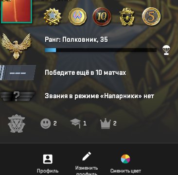 🏆 CS2 Prime | 🎯 Faceit Level not linked | 🕒 343 hours — Ready to play