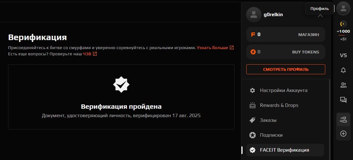 🏆 CS PRIME | 🎯 Faceit LVL 4 | 🕒 100 часов — Готов к соревнованиям!