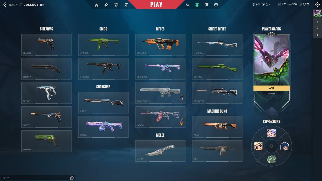 🎯 Valorant account | Rank: Unlocked | EU | 12 agents