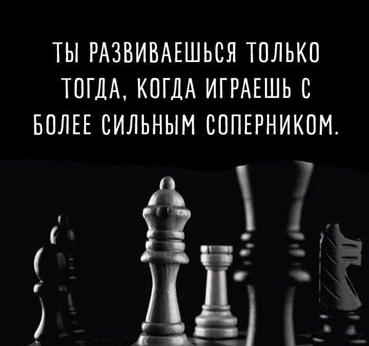 🏅 MMR 7525 | 🕒 170 годин | 🛡 11917