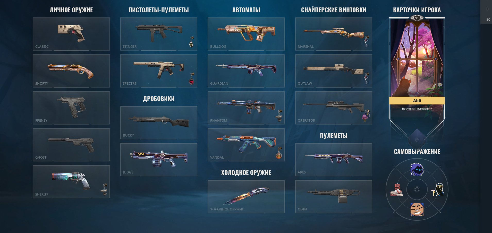 🎯 Valorant акаунт | Gold 2 | EU | 19 агентів