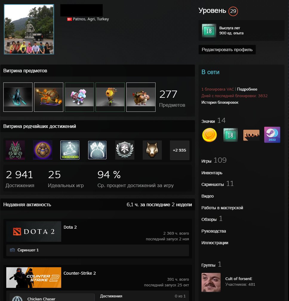 🏅 MMR 1100 | 🕒 2400 hours | 🛡 11000