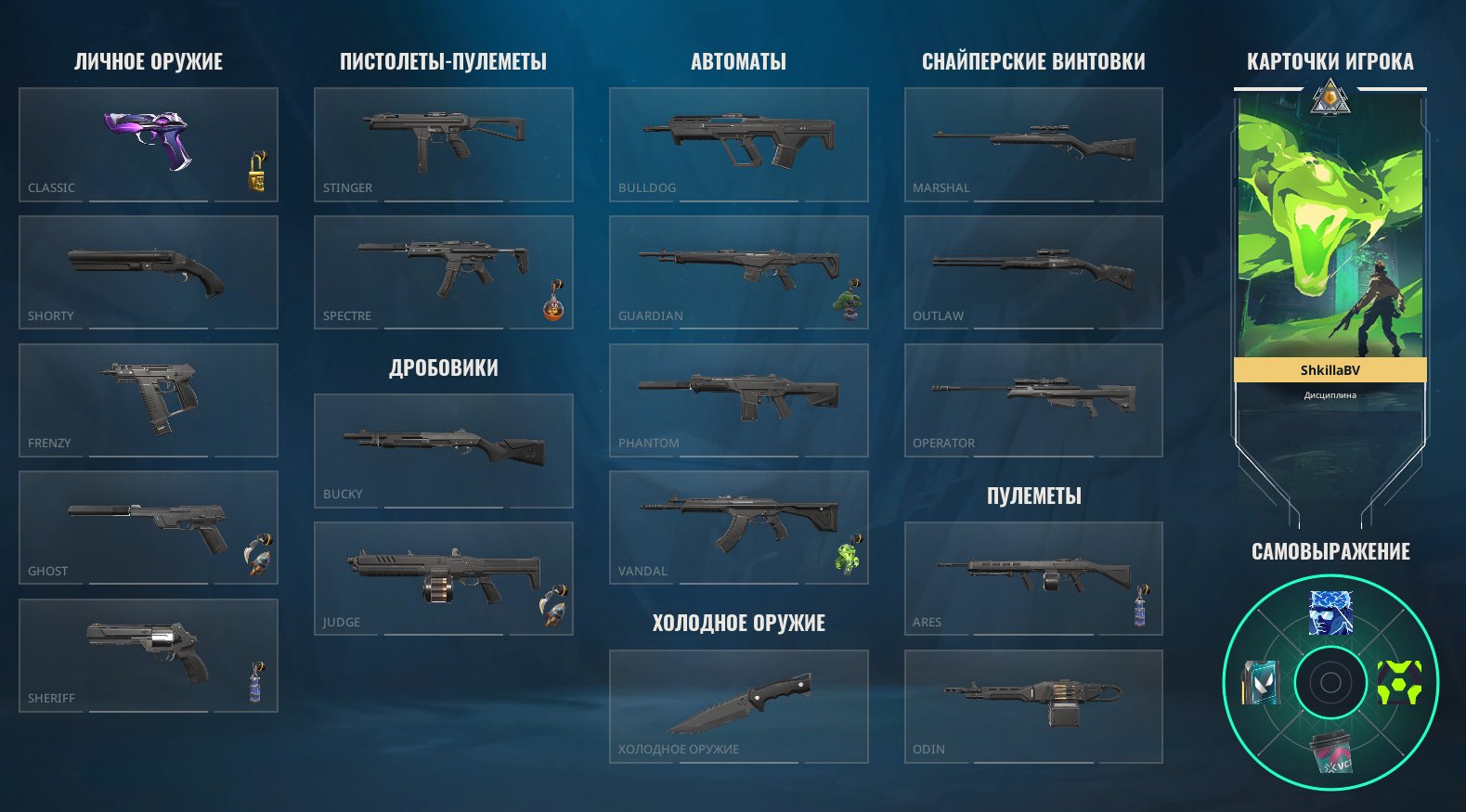 🎯 Valorant account | Platinum 1 | Any | 13 agents