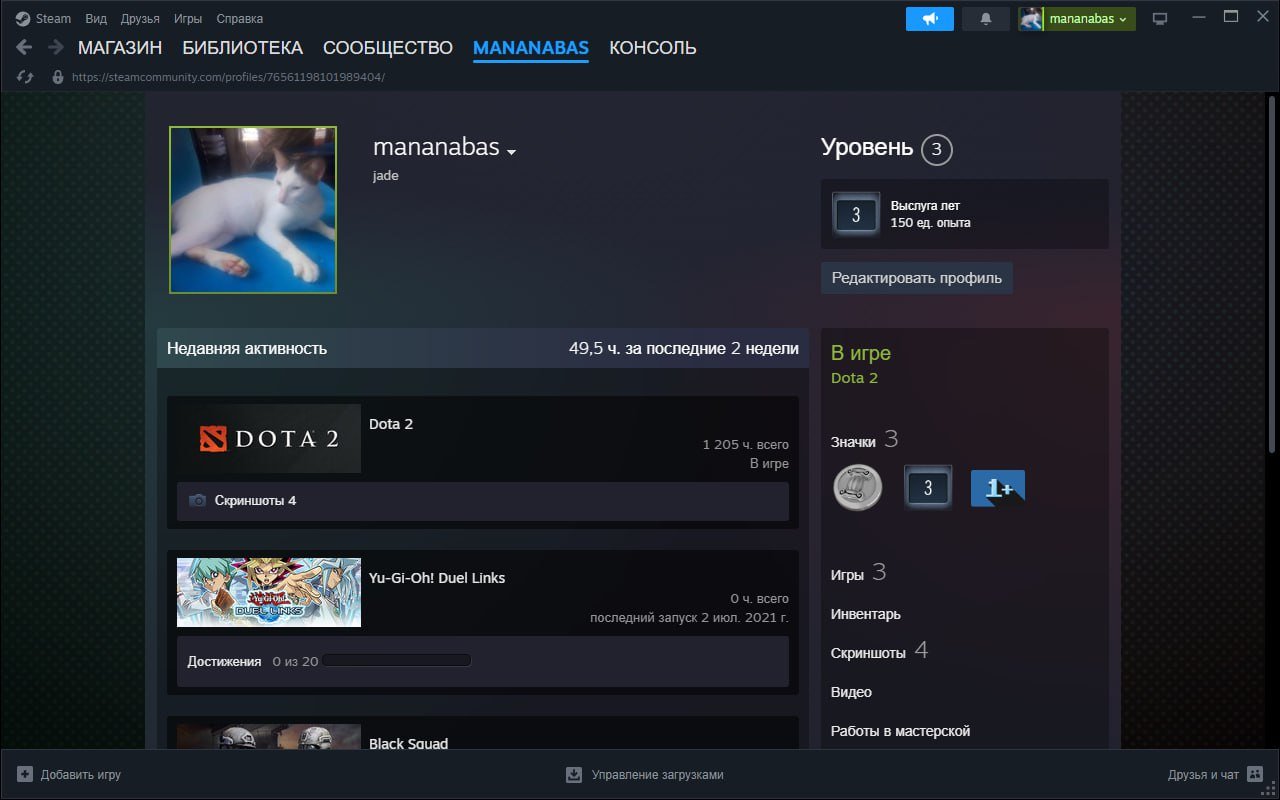 🏅 MMR 56 | 🕒 1000 hours | 🛡 4127