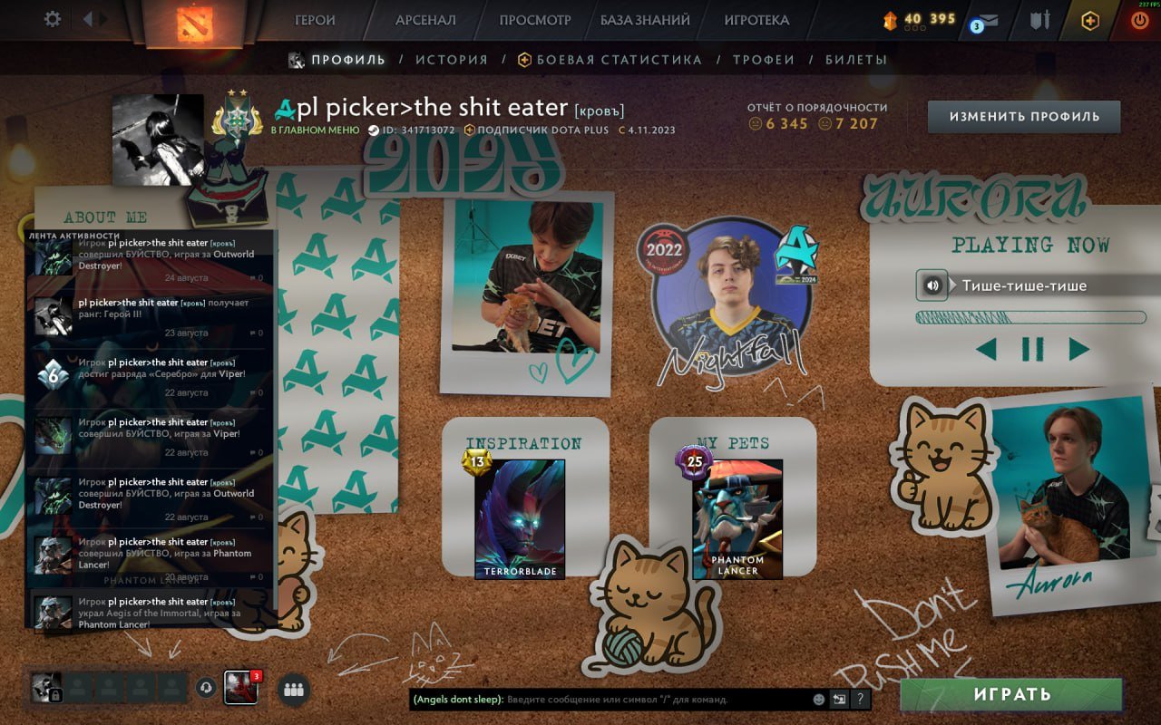 🏅 MMR 2700 | 🕒 3000 hours | 🛡 6000