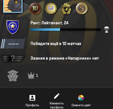 🎮 CS2 Prime | 🥇 Rank 24 | 🕒 262 hours — Ready for ranked matches!