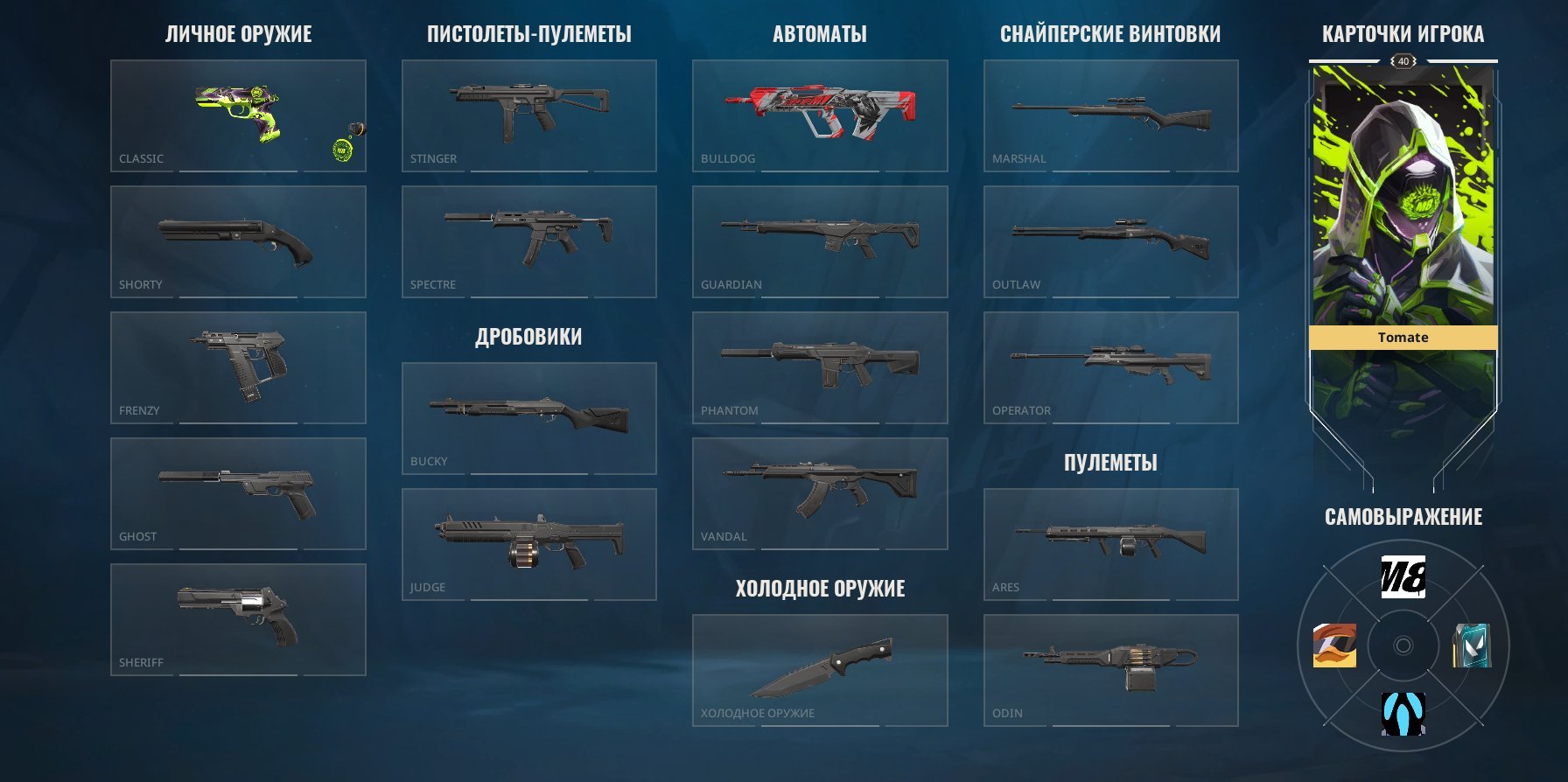 🎯 Valorant акаунт | Золото 1 | EU | 11 агентів