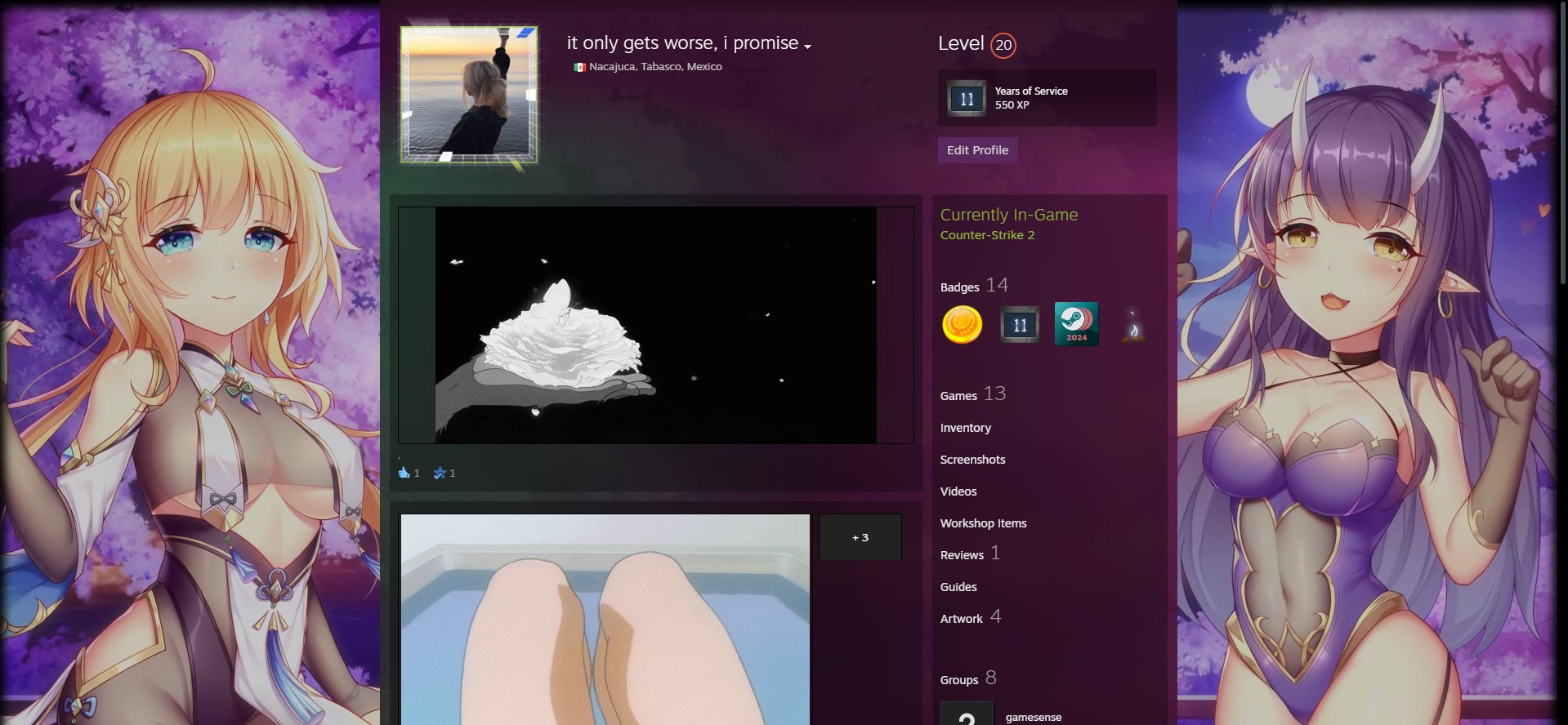 🏆 FACEIT LVL 20 | 🎯 ELO 2500 | 🕒 0 hours — Ready for Competitive Matches!