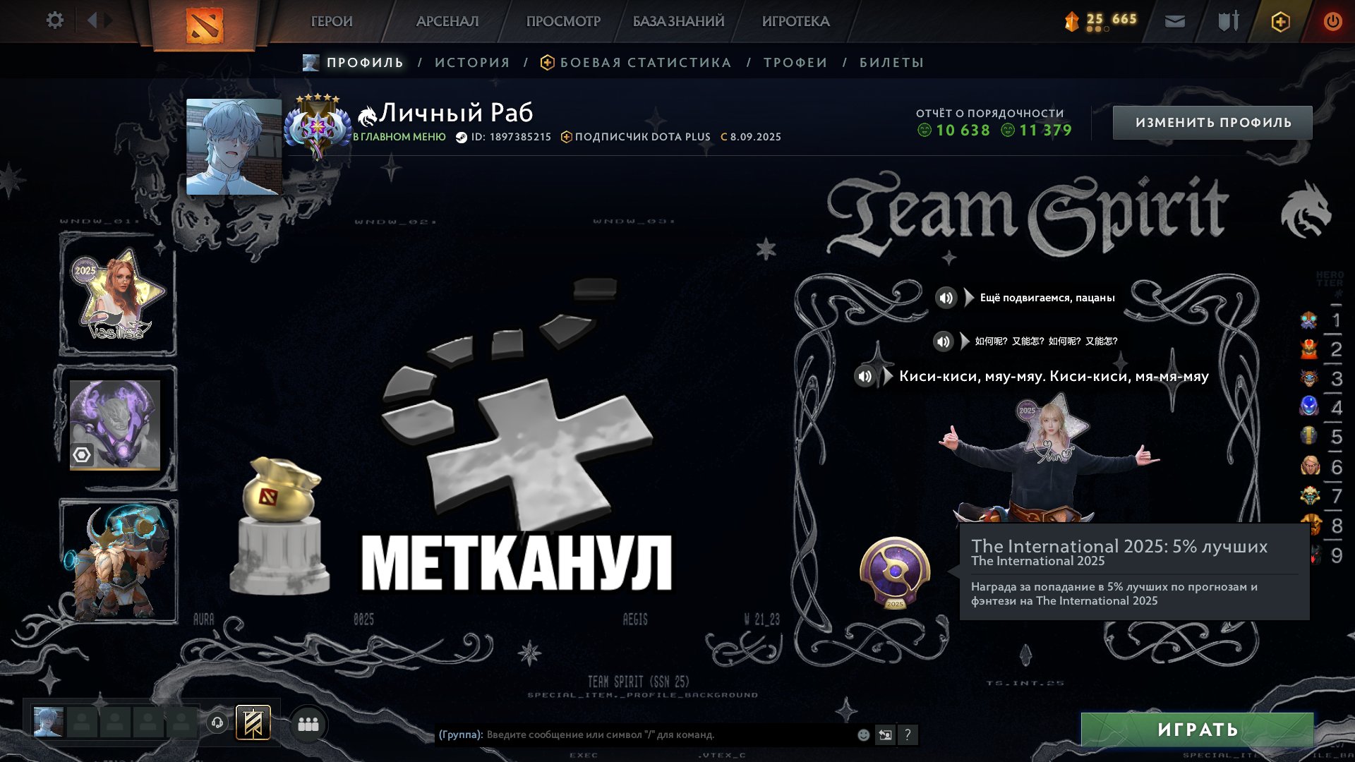 🏅 MMR 4700 | 🕒 510 hours | 🛡 12000