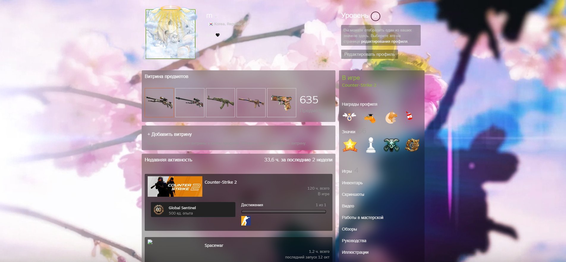 🏆 CS Prime | 🎯 Faceit LVL 5 | 🕒 300 hours — Ready for Ranked Matches