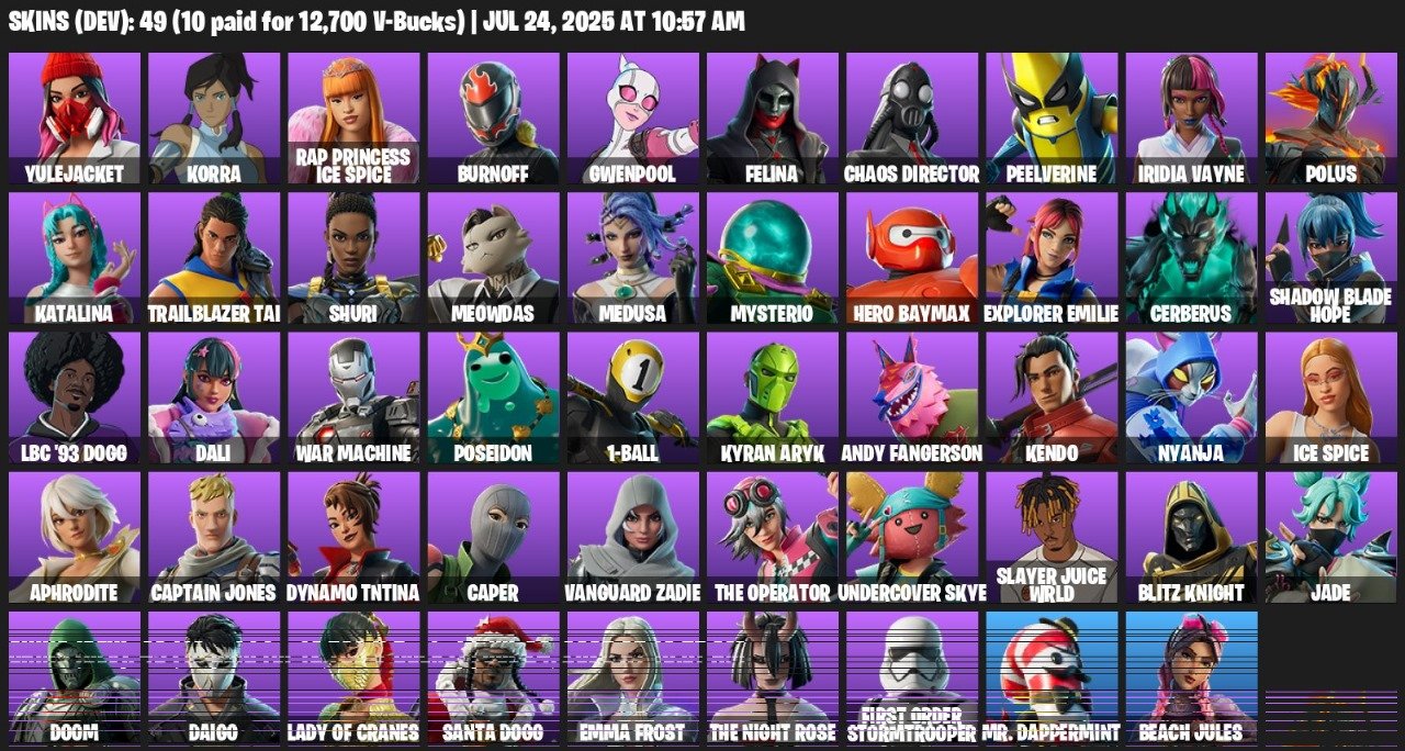 Diverse Fortnite Collection with 49 Unique Skins 🖥🎭