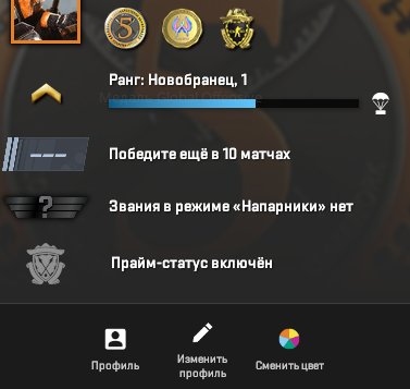 Prime аккаунт з CS рейтингом 1 та FACEIT ELO 1