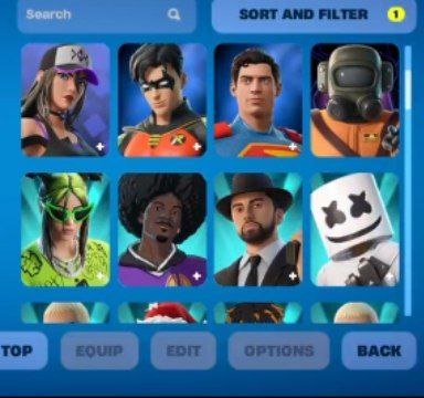 Diverse Fortnite Collection with 87 Unique Skins on PC 🎭🖥