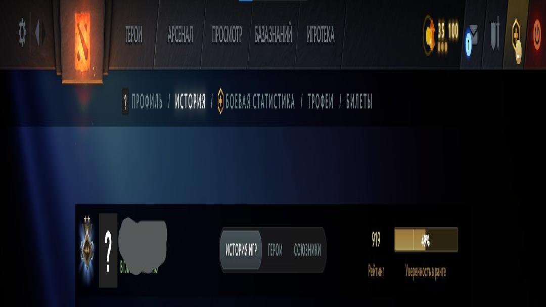 🏅 MMR 919 | 🕒 160 годин | 🛡 11910